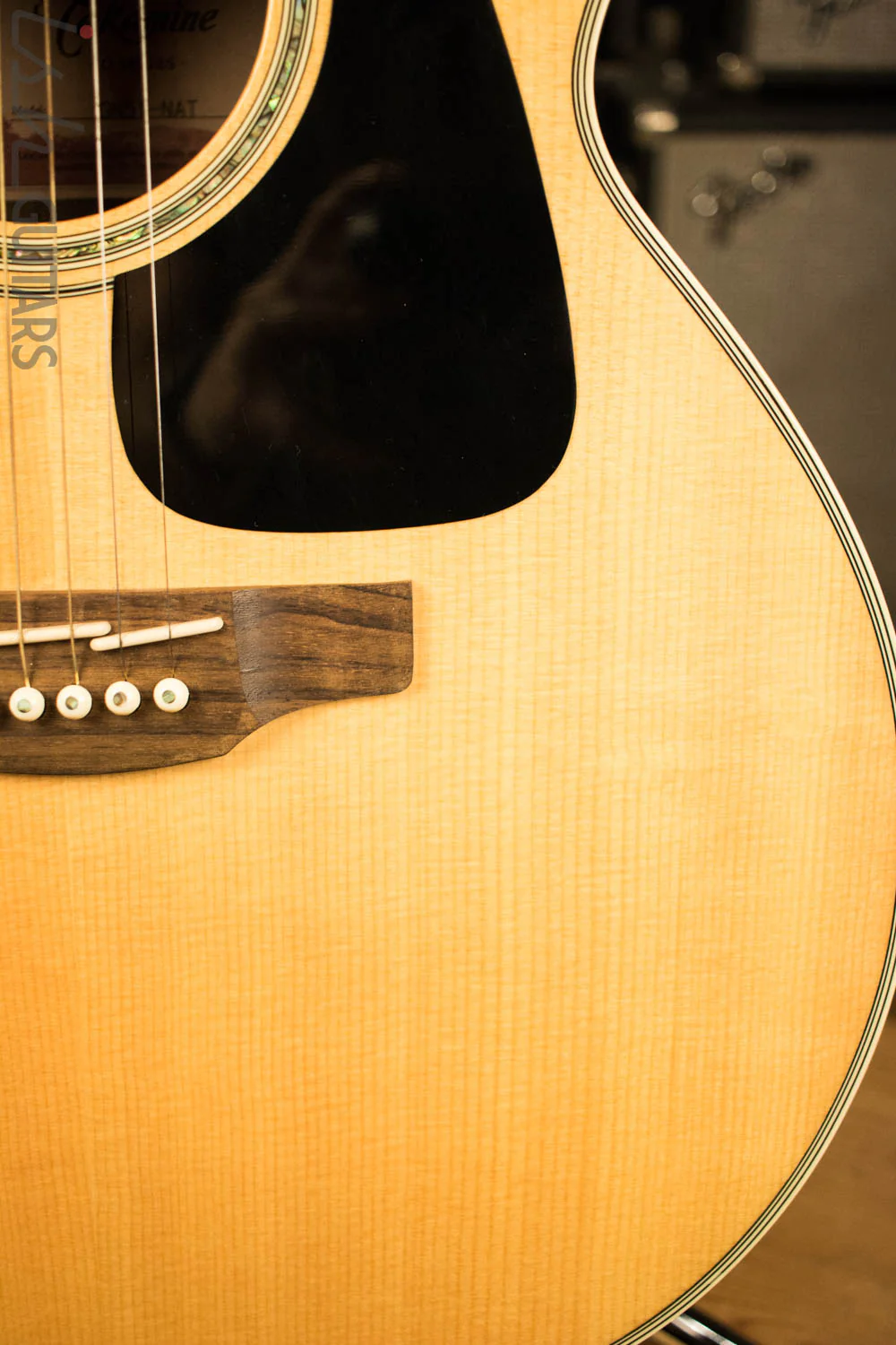 Takamine GN51 - Image 4