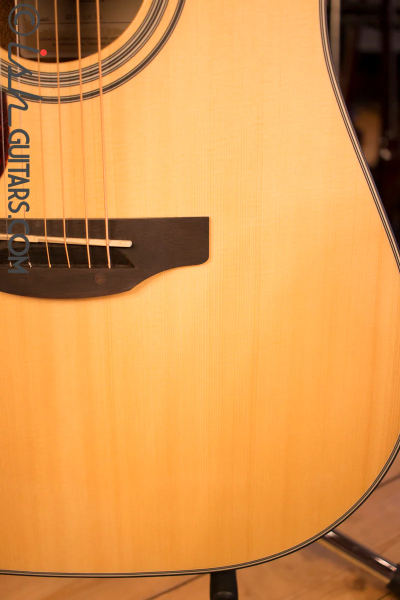 Takamine GD10 LH Left Handed - Image 4
