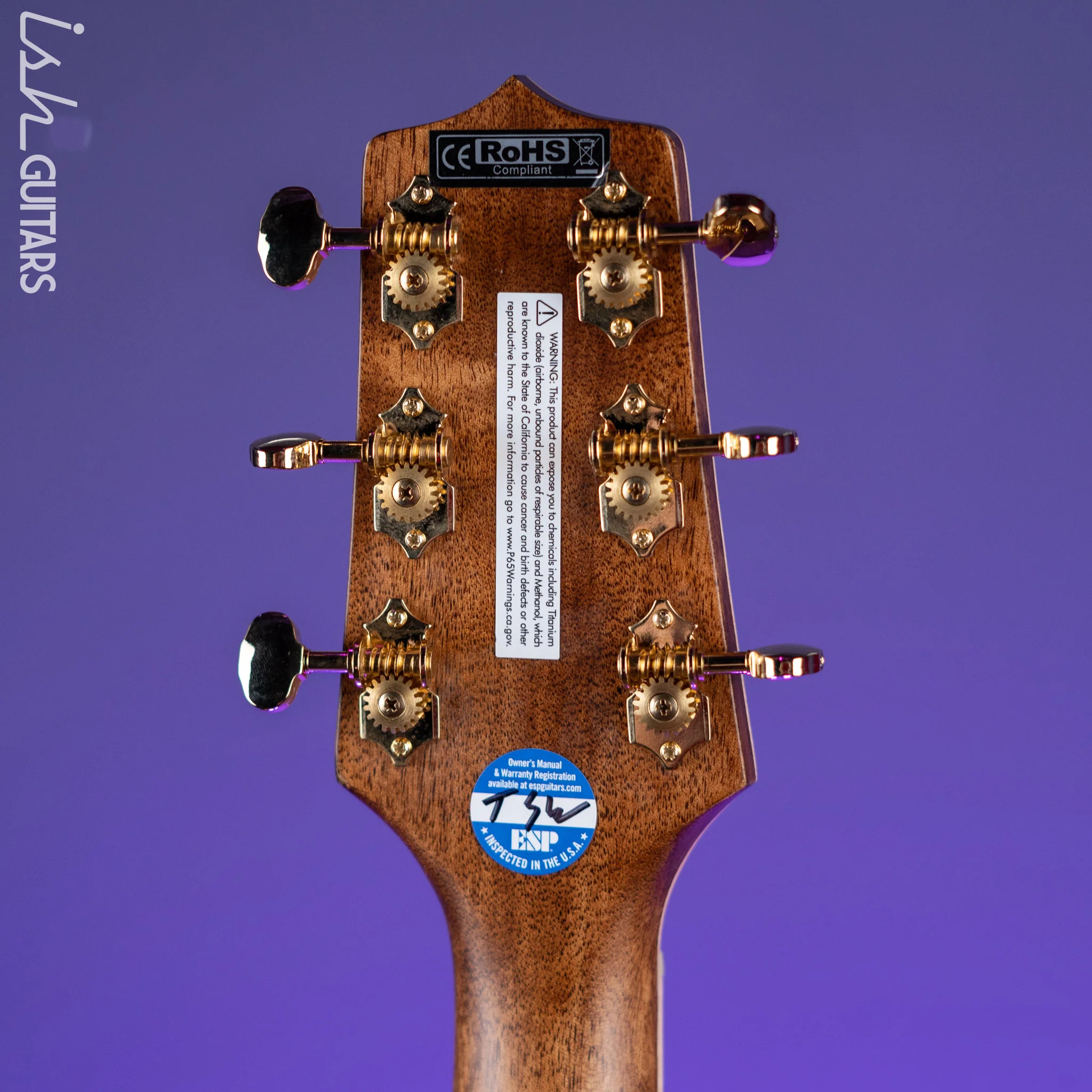 Takamine GD90CE-ZC Dreadnought Acoustic-Electric Guitar Ziricote Natural Demo - Image 11