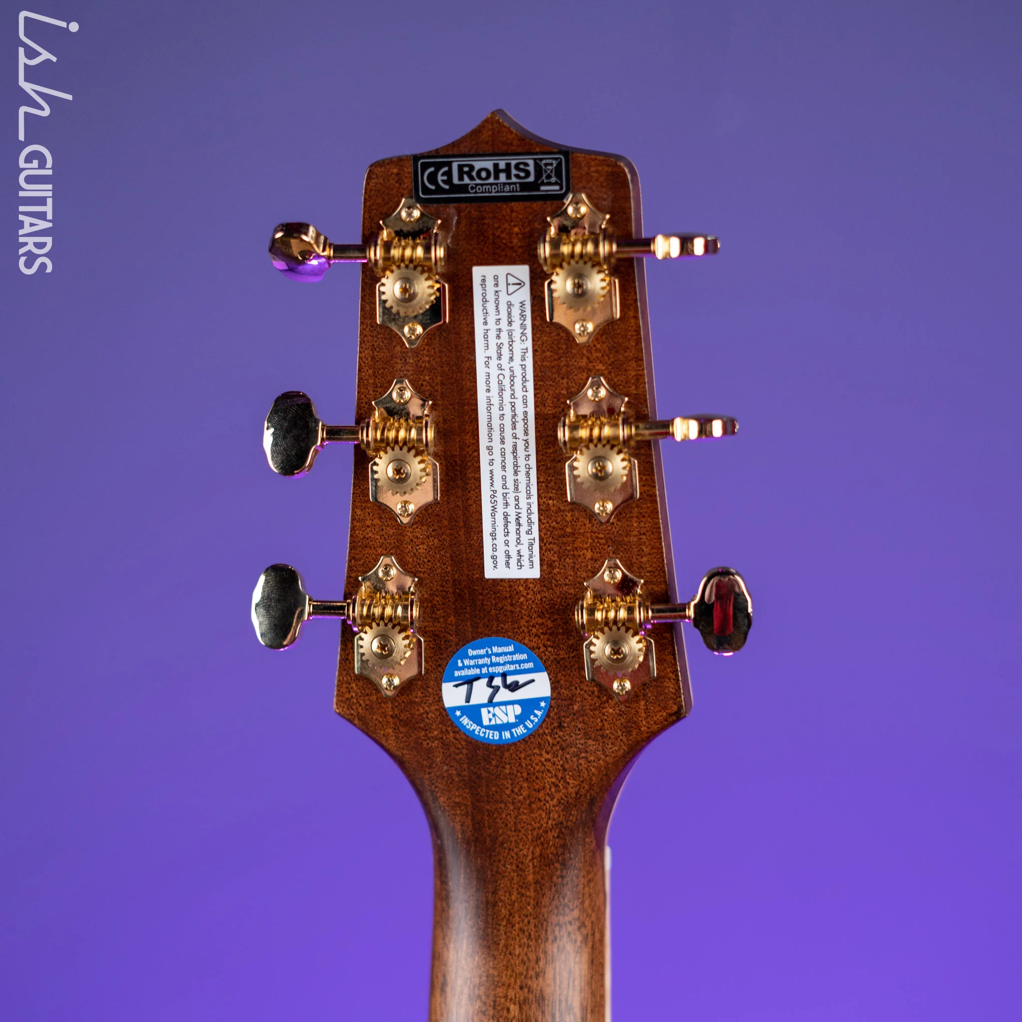 Takamine GD90CE-ZC Dreadnought Acoustic-Electric Guitar Ziricote Natural Demo - Image 11