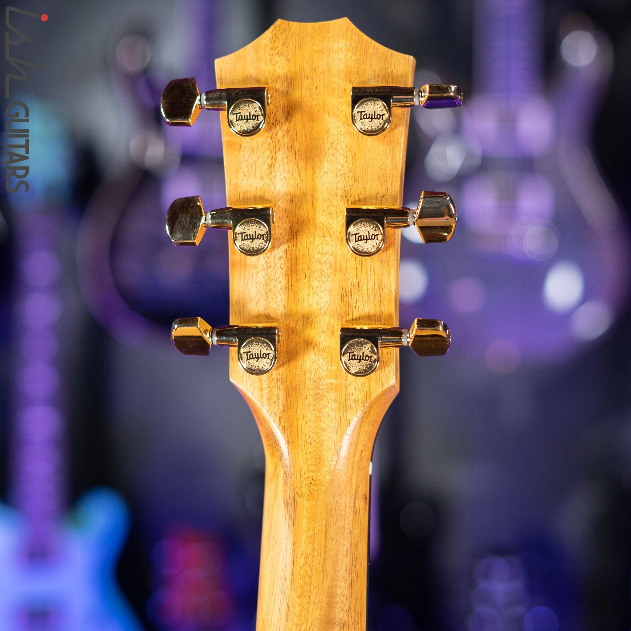 Taylor 224ce-K DXL Shaded Edge Burst - Image 9