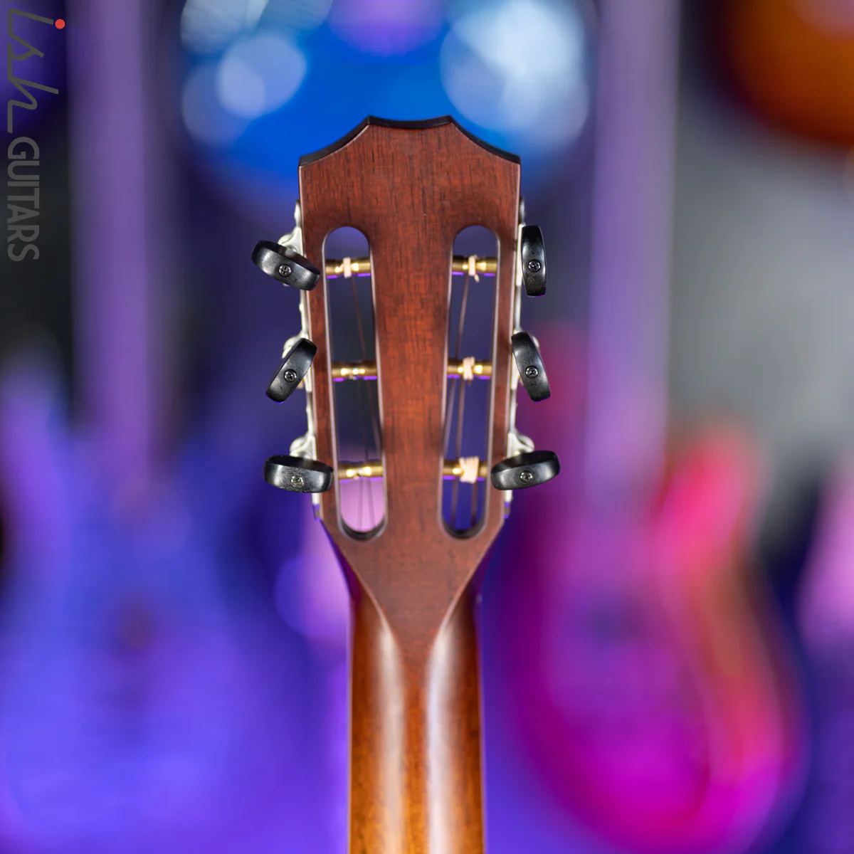 2019 Taylor BTO Custom Shop Grand Concert 12 Fret Florentine Torrefied Spruce Myrtlewood - Image 11