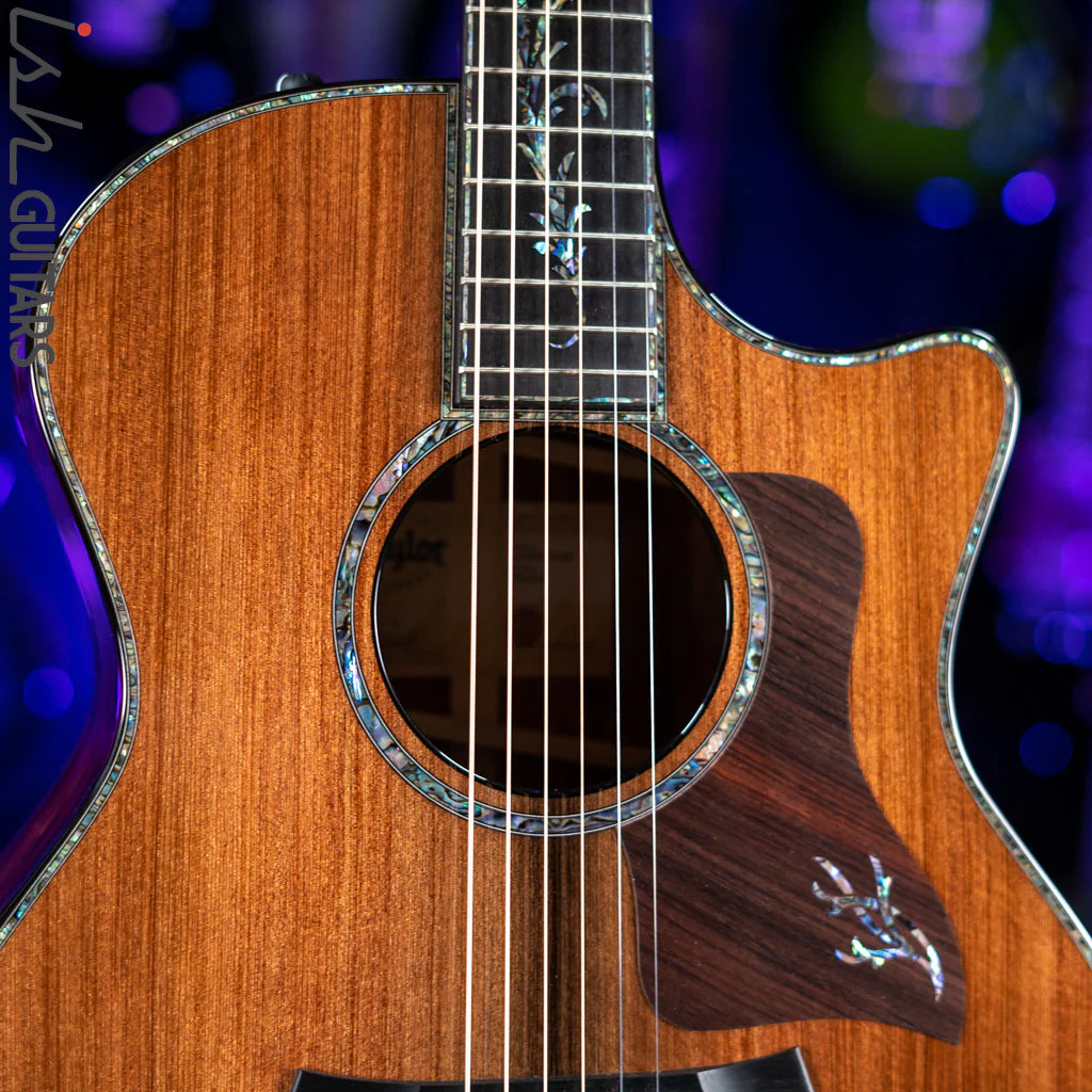 Taylor PS14ce Acoustic-Electric Natural Honduran Rosewood - Image 5