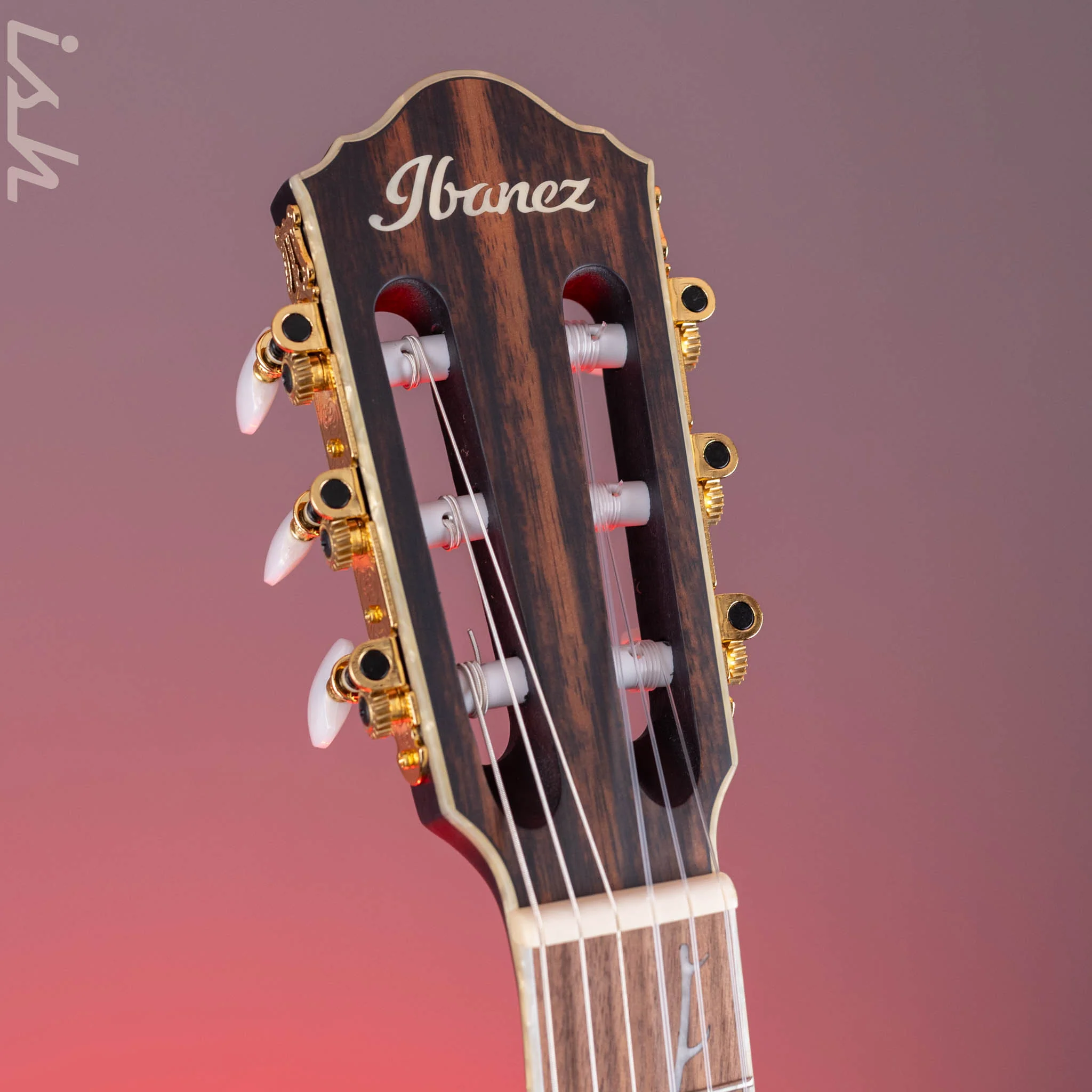 Ibanez TOD10N Tim Henson Signature Nylon Acoustic-Electric Guitar Transparent Black Flat Demo - Image 5