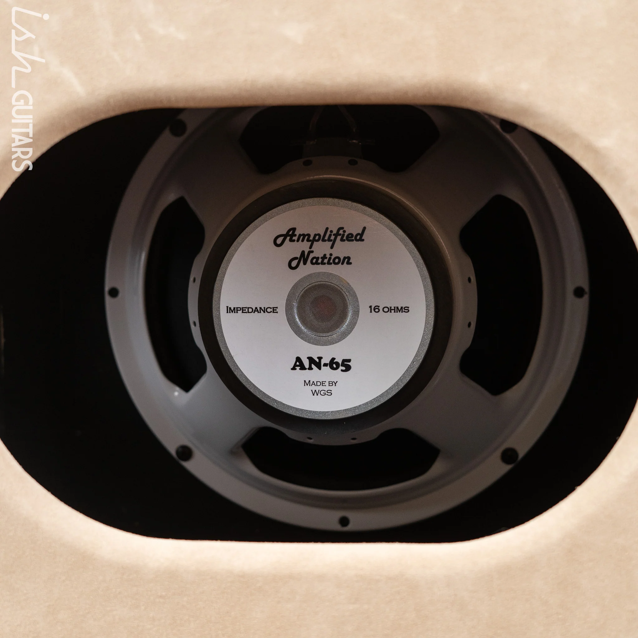 Wonderland Overdrive V2 by Amplified Nation & AN-65 1x12 Speaker Cabinet Dogwood Suede - Image 12